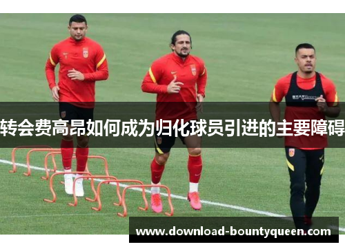 转会费高昂如何成为归化球员引进的主要障碍