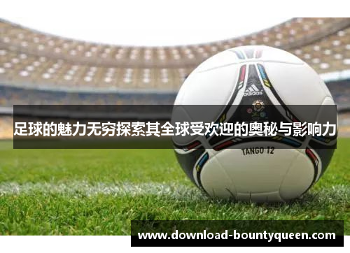 足球的魅力无穷探索其全球受欢迎的奥秘与影响力 足球的魅力无穷探索其全球受欢迎的奥秘与影响力